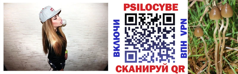 Псилоцибиновые грибы Psilocybe  Кувшиново 